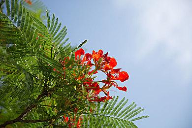 《卧龙：苍天陨落》1.03补丁上线 改进Steam版体验